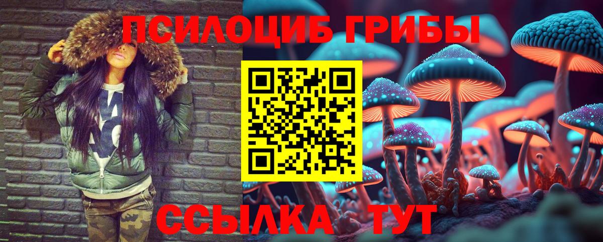 Галлюциногенные грибы Psilocybine cubensis Ачхой-Мартан