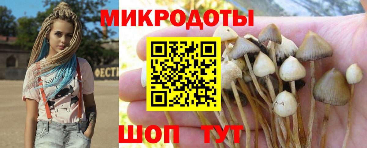 Галлюциногенные грибы ЛСД Ачхой-Мартан