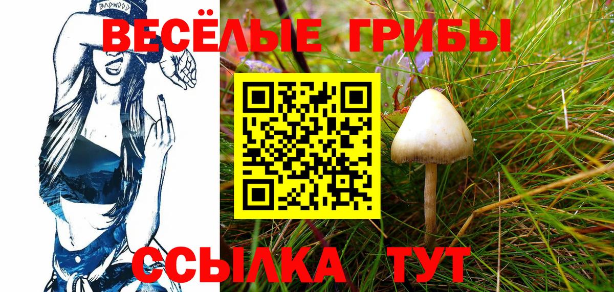 Ачхой-Мартан  Галлюциногенные грибы MAGIC MUSHROOMS  Псилоцибиновые грибы Cubensis  Вход с VPN 