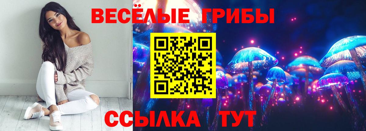 Галлюциногенные грибы мухоморы  Ачхой-Мартан 