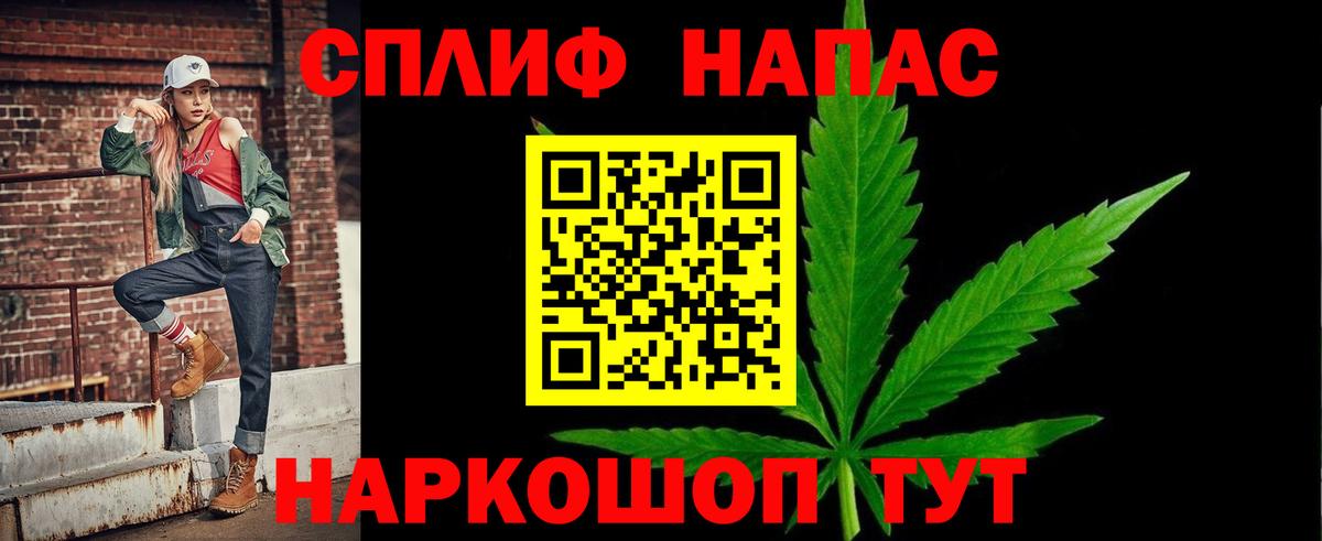 Каннабис семена  Ачхой-Мартан  Конопля Ganja 